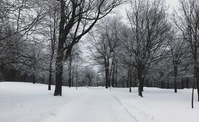 día de invierno y nieve en el parque monte royal de Montreal Canada y el cementerio 