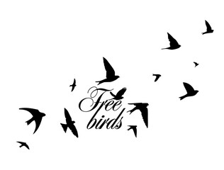 A flock of flying birds. Vector illustration