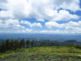 Pico do Itapeva