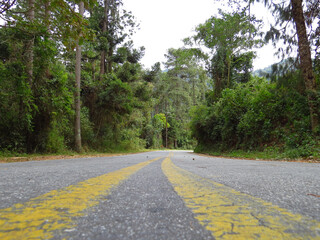 Estrada Serra da mantiqueira