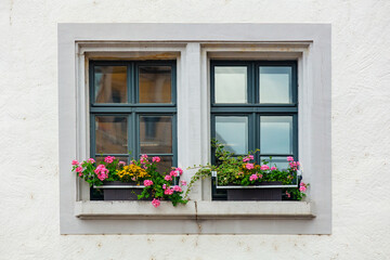 beautiful flowers on the window sill in the city Meissen, Germany