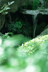 ミネラルウオーター.  岩場から湧き出る 澄んだ冷たい水（日本・前景に ぼけた草をレイアウト）