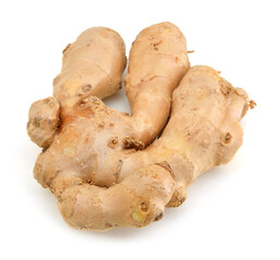 Gingers in flavoring cooking