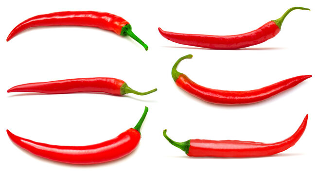 Collection one red chili pepper isolated on white background