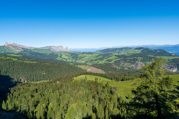 Obraz premium Incredible nature landscape in Dolomites Alps. Spring blooming meadow. Flowers in the mountains. Spring fresh flowers. View of the mountains. Panorama of Dolomites, Italy. Daisy flowers.