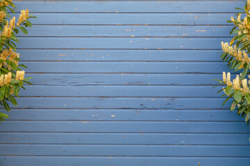 blue wooden boards bordered by flowers with free copy space for text and content of cards or invitations