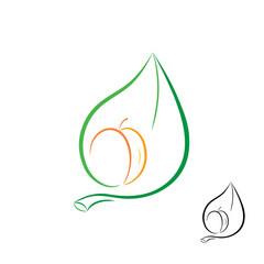 Apricot and leaf logo.