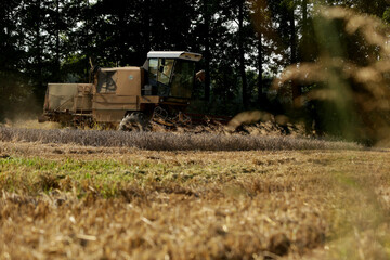 Wilamowice,Poland - July 15, 2020 : Harvest in Poland. Bizon ZO56 harvester © praszkiewicz