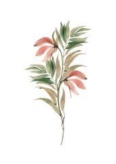 Floral Watercolor  sprig illustration - 365370570