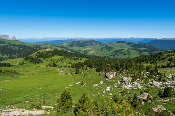 Fototapeta na wymiar mountain meadow landscape panorama Seiser Alm , dolomiti italy
