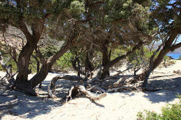 Kerdodasos beach crete private blue lagoon paradise red sand coast summer 2020 covid-19 holidays...