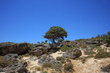Kerdodasos beach crete private blue lagoon paradise red sand coast summer 2020 covid-19 holidays...