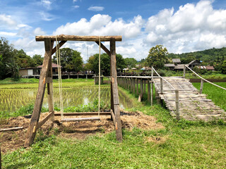 Classic swing wooden on countryside and rice field background