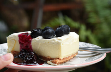 
Cake
Is a blueberry chip cake
Is a delicious sweet dessert