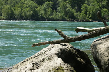 Fototapeta na wymiar Blue river with a branch and rock