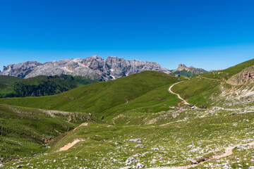 Fototapeta na wymiar Incredible nature landscape in Dolomites Alps. Spring blooming meadow. Flowers in the mountains. Spring fresh flowers. View of the mountains. Panorama of Dolomites, Italy. Daisy flowers.