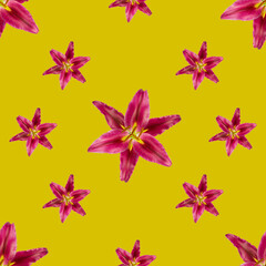 Seamless botanical pattern with magenta lily flowers on vivid yellow background