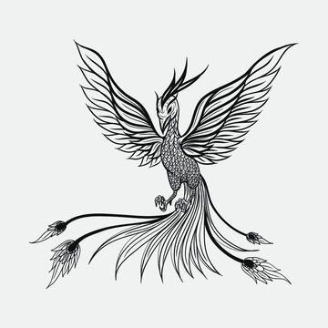 phoenix logo, phoenix tattoo design vector illustration
