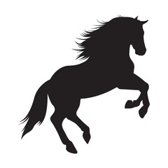 Obraz na płótnie Canvas silhouette of horse