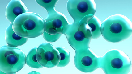 Cell Division and Growth, process by which a parent cell divides into two or more daughter cells