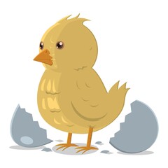 chick leaving cracked egg
