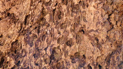 old wood  background texture or wallpaper