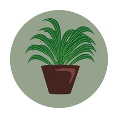 plant pot