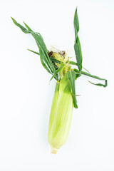 Fresh fruit corn on white background