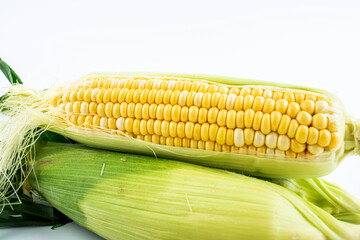 Fresh sweet corn close-up