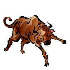 bull