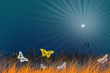 Beautiful butterflies and grass under sunlight