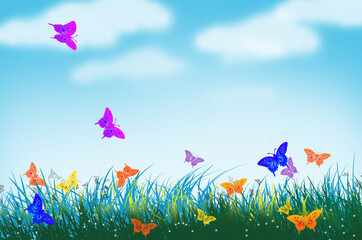 Fototapeta na wymiar Butterfly world in the grass field with cloudy sky background