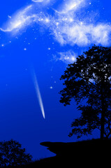 Long tail comet in bright blue sky in the night © athapet