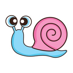 snail