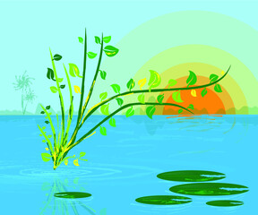 Fototapeta na wymiar Nature with water, sky, sun and water plants floating above water. Blue water and sky and nature vector illustration.