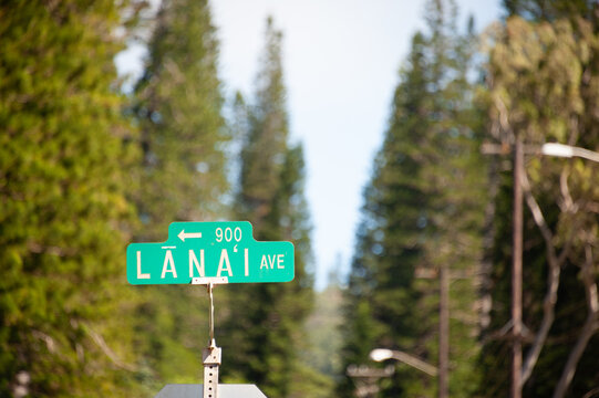 Road Sign, Lanai Avenue, The island of Lanai, Maui, Hawaii