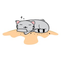 sleeping cat