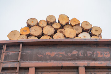 A logging train at the sawmill hauls stacked wooden logs and tree trunks. A train with felled trees. The train on the territory of the woodworking plant.