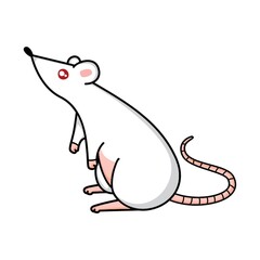 white mouse