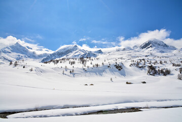 Fototapeta na wymiar View of Piz Palu and Piz Bernina along Bernina Express train near Ospizio Bernina