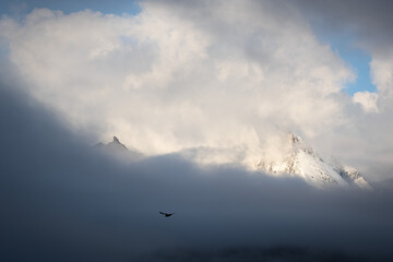 mountain peaks, Saint Andrews Bay, South Georgia
