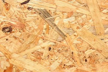 Background of wood plywood from pressed sawdust