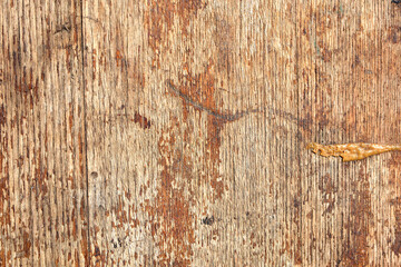 Wooden texture background with different patterns