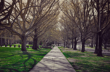 path in the park