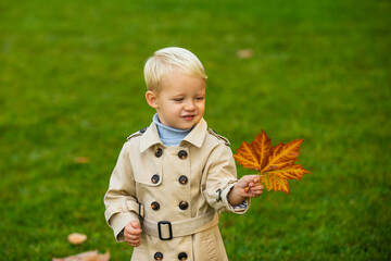 Autumn kid, cute child with fallen leaves in autumn park, fall foliage.