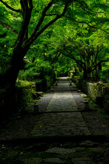 六郷満山の参道