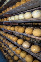 Cheese in ripening cellar on familiar industry in Brazil