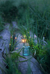 Mystery Sparklers in green grass. Summer festival. atmospheric and mysterious image of nature. summer season concept/ copy space