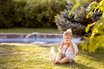 A small boy is sitting on the grass near a blue spruce. The boy has a bottle of milk and a homemade bun. The boy eats a bun. Nature walk.