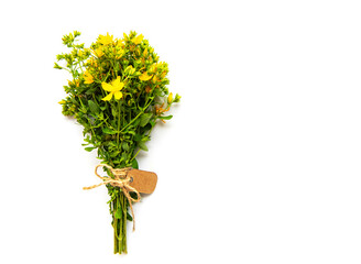 Bunch of St. John's wort on a white